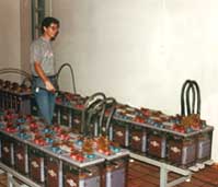 Baterias produzidas "em vaso"