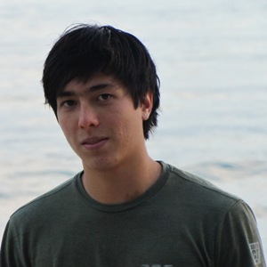 Gabriel Levin