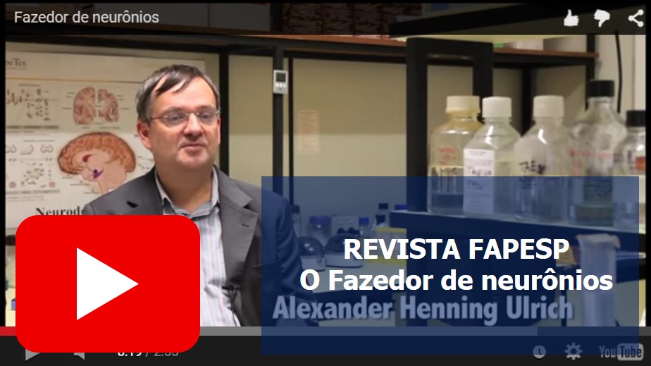 FAZEDOR NEURONIO