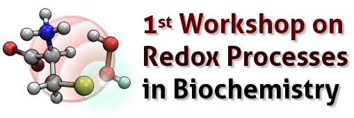 1st Workshop on Redox Processes in Biochemistry