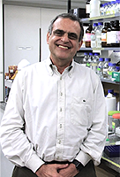 Prof. Sergio Verjovski-Almeida