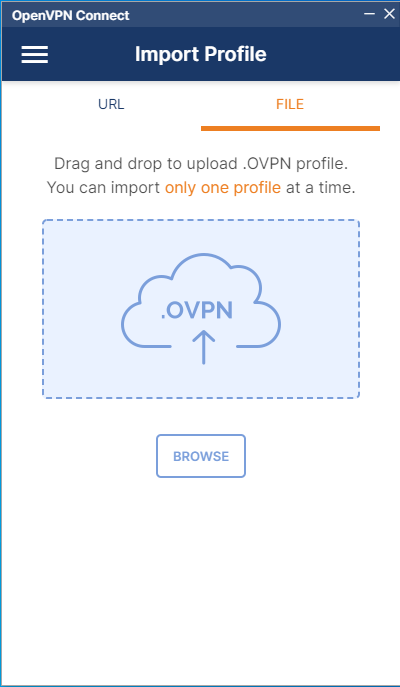 Open VPN Connect Client